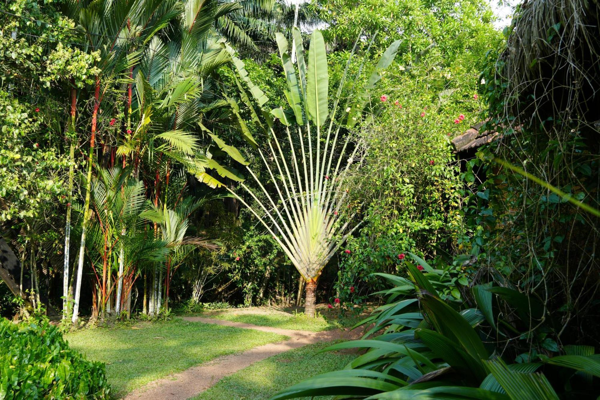 Huma Terra Lodges Hikkaduwa Luaran gambar
